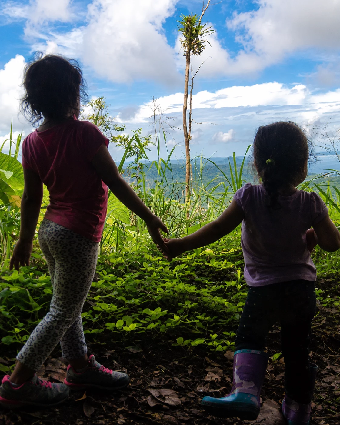 Niñas mirando el valle y el bosque nuboso desde un mirador